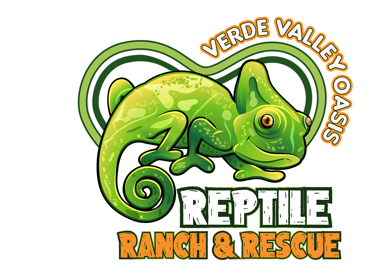 Verde_Valley_Oasis_Reptile_Ranch_And_Rescue_Education_programs