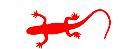 native-exotic_reptile_education (1)