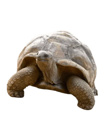 1746149768219_1