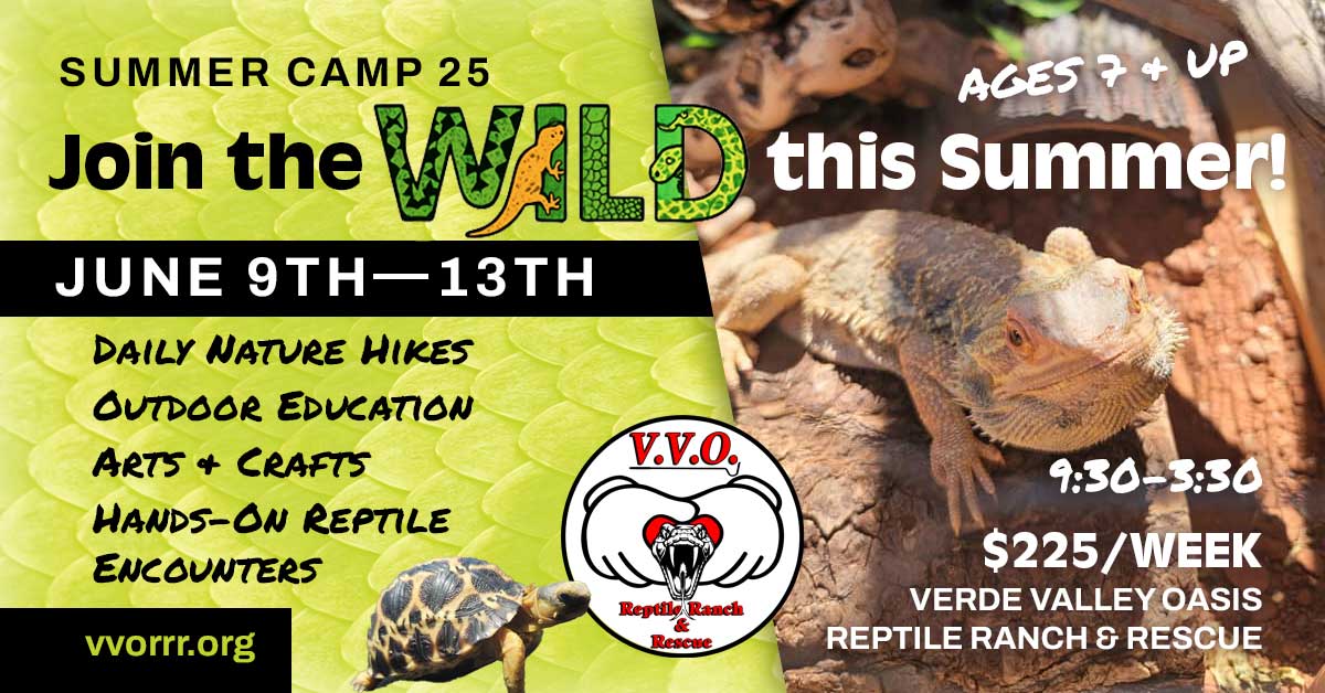 VVO_SummerCamp25