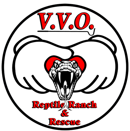 VVO_logo_3 logo