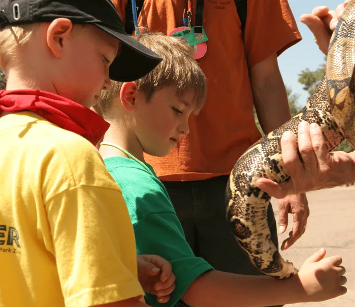 summer_reptile_camp